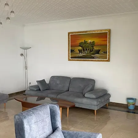 Palm * Ağva