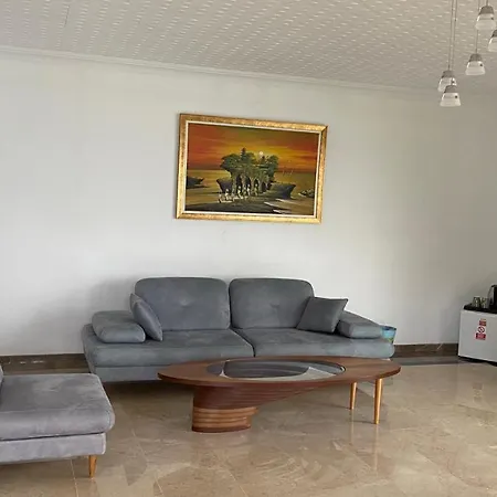 Palm Ağva