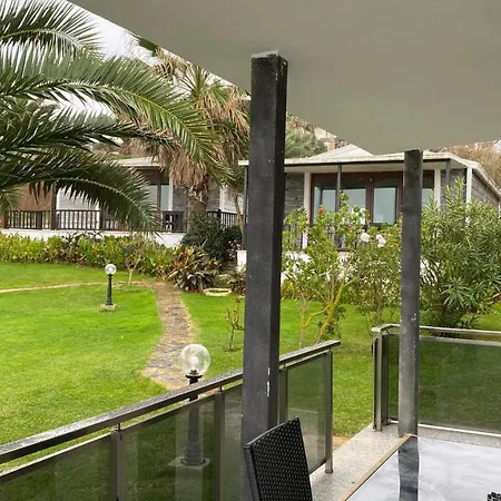 Palm * Ağva