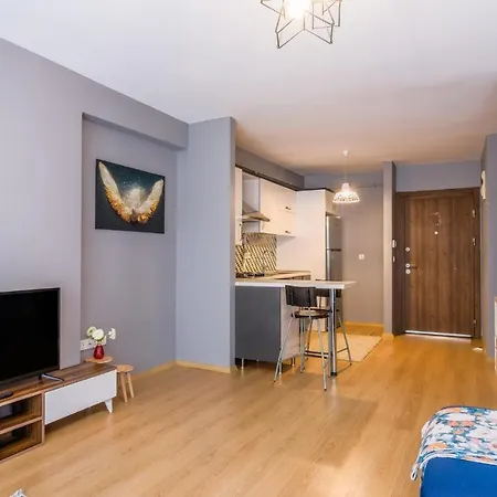 Flat 10 Min To Vadistanbul Mall And Ataturk Forest *