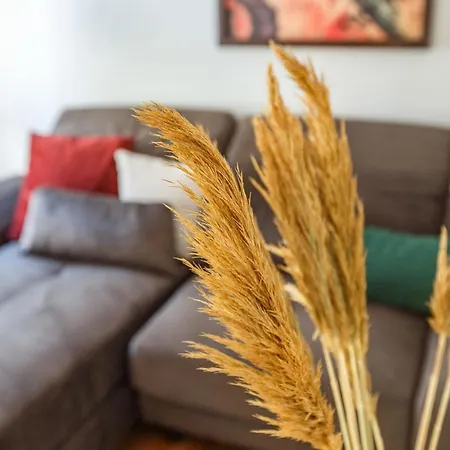 Flat Within Walking Distance To Flower Passage Estambul