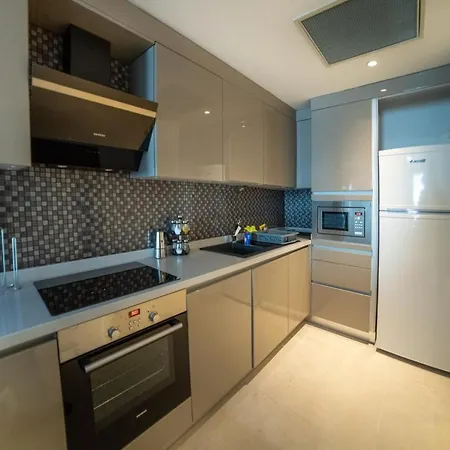 Vip 1-bedroom In Taksim 89 アパート *