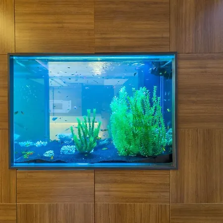 Hotel Matiat Provincia di Istanbul