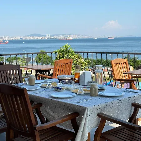 Queen Seagull Boutique Bed & Breakfast *