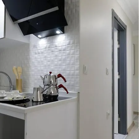 Fully Equipped Apartment