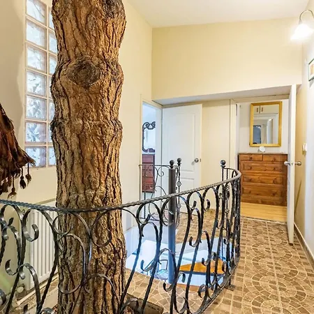 别墅 Unique House With Tree Inside Near Sea In Maltepe 伊斯坦布尔