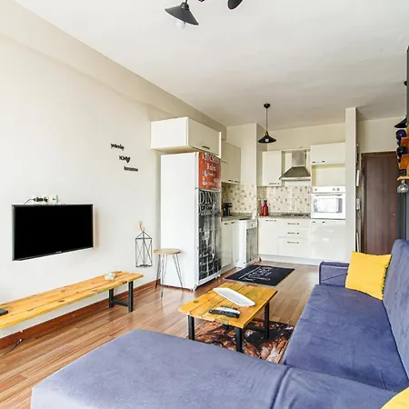 Cozy And Furnished In Pendik *