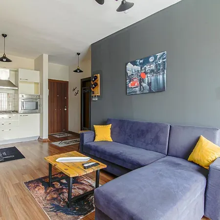 Cozy And Furnished In Pendik *
