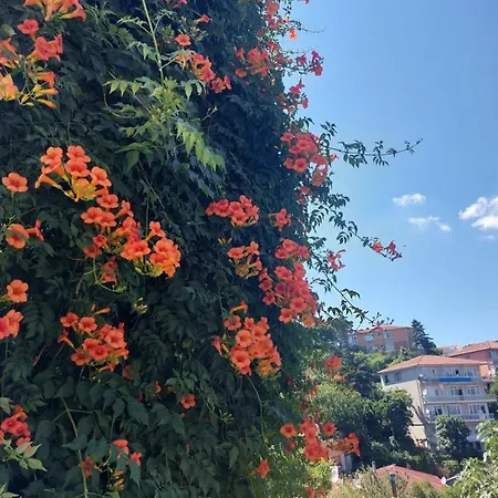 Tarabya Family