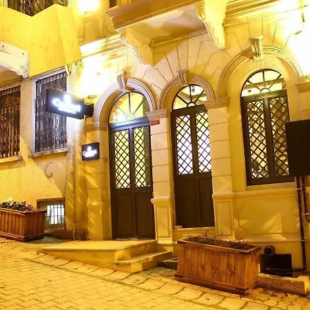 Calanthe Istambul