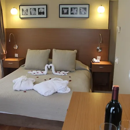 Otel Buyuk Sahinler İstanbul