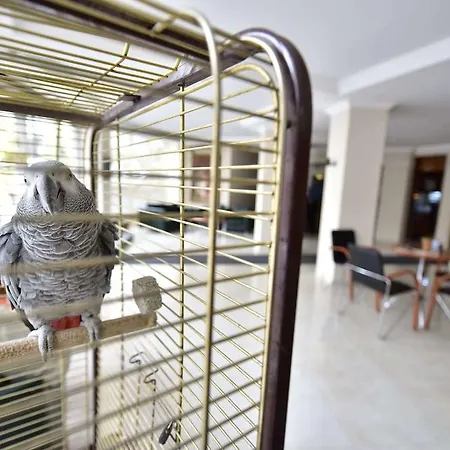 Hotell Topkapi