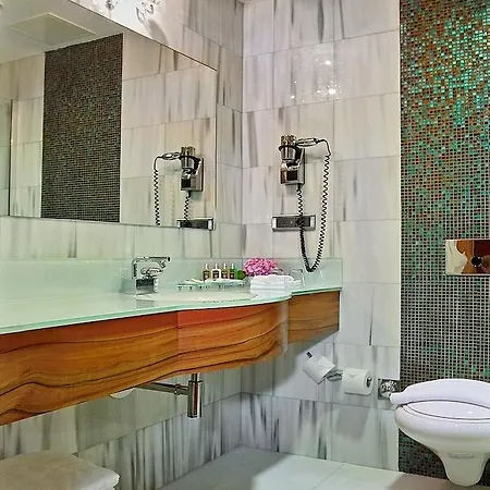 Biz Cevahir Sultanahmet Hotel 4*
