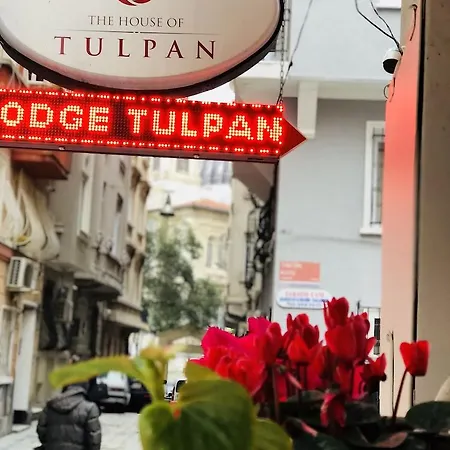 Hotel The House Of Tulpan 2*