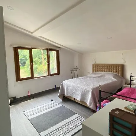 Chalet Beykoz Dag Evi *