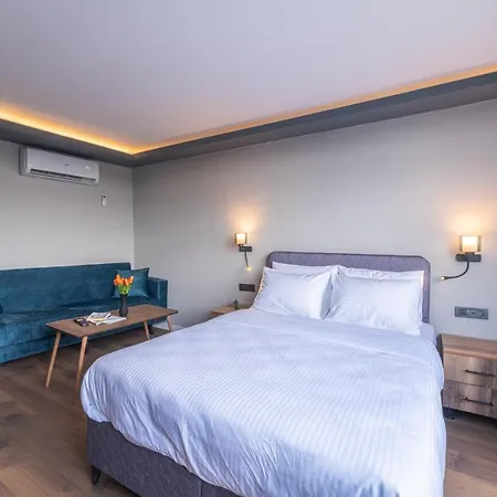 Hotel The Halic *
