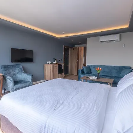 Hotel The Halic
