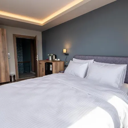 Hotel The Halic