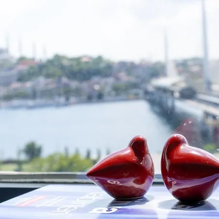 Hotel The Halic *