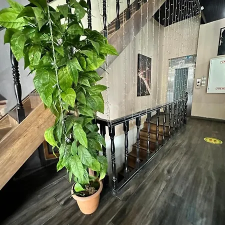 Hotel Vvr Boutique