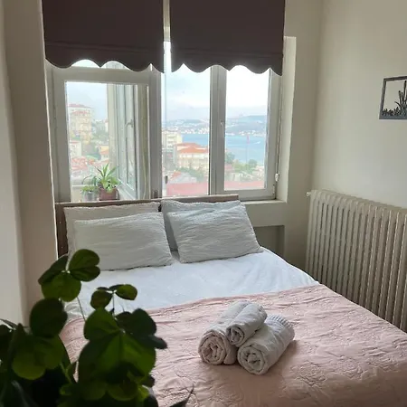 Amazing Bosphorus View, 2 Bedroom New Furnished In Center Apartament