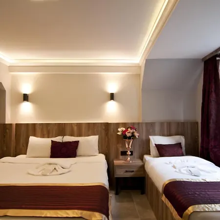 Vali Hotel 3*