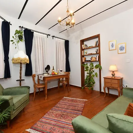 Historical Levantine Flat @heart Of Taksim Apartment Istanbul