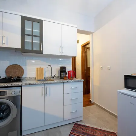 Historical Levantine Flat @heart Of Taksim Apartment Istanbul