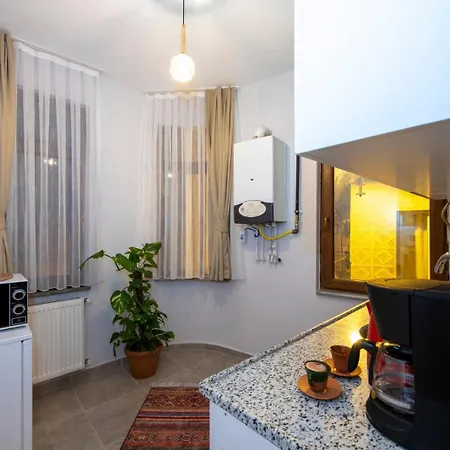 Apartment Historical Levantine Flat @heart Of Taksim