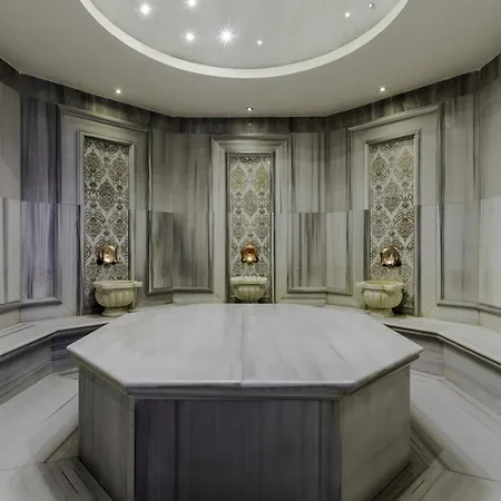 勒弗尼酒店及spa - 特殊类别 伊斯坦布尔