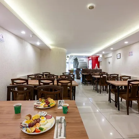 Saray Boutique Laleli Hotel Istanboel