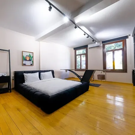 The Kosk -5br With Turkish Bath- City Centre Villa Istanbul