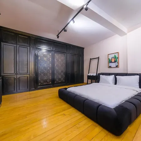 The Kosk -5br With Turkish Bath- City Centre Istanbul