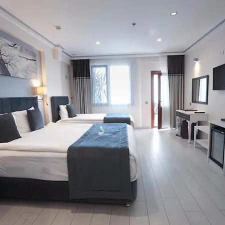 Skalion Hotel Istanboel