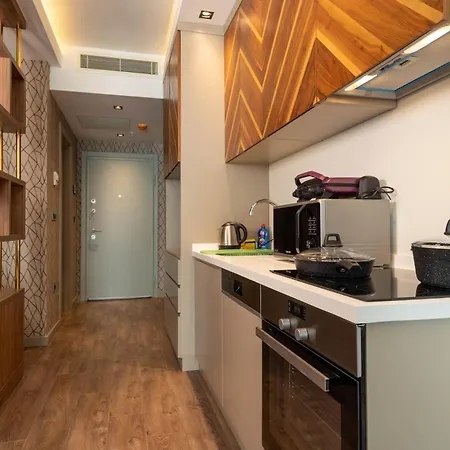 Apartment Superb Modern And Comfortable Flat In *