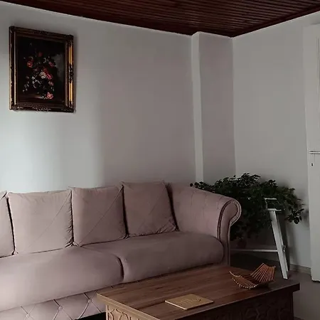 Gunes Hause *