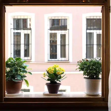 Narpera Taksim Boutique Provincia di Istanbul