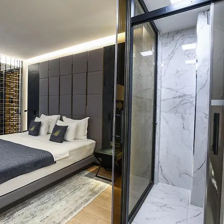 Otel Broyt
