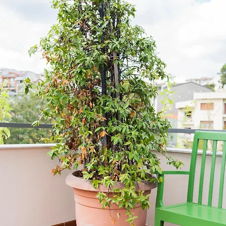 Apartahotel Smart By Summitvista