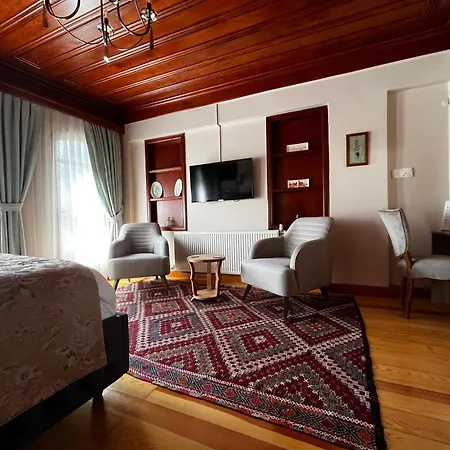 Lily Mansion Apartment Istanbul