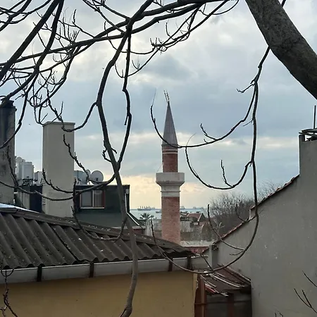 Modern Apart Close To Blue Mosque And Hagia Sophia Old *