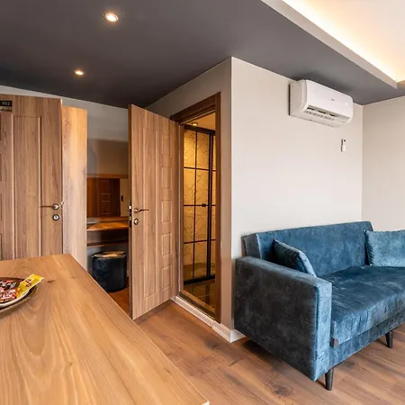 Hotel The Halic *