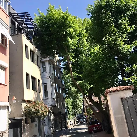 Cozy And Modern Flat Near Bosphorus At Arnavutkoey Apartment Istanbul