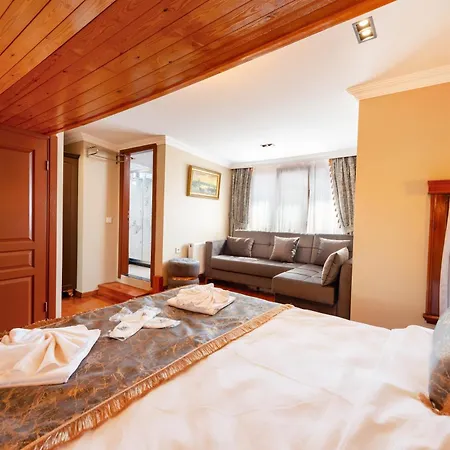 Brown Mansion Oldcity Hotel *