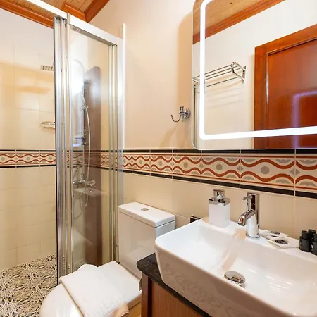 Hotel Brown Mansion Oldcity *