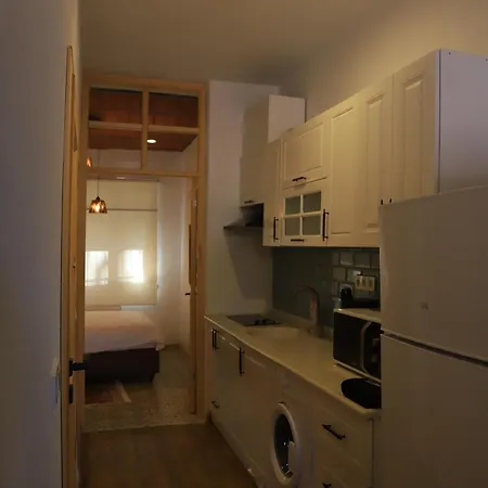 Apartament Balat Historical House *