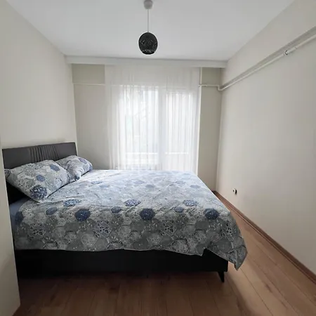 Allegro Kadikoy