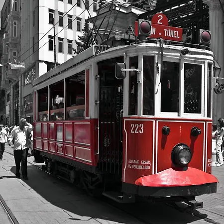 Jakaranda Istanbul