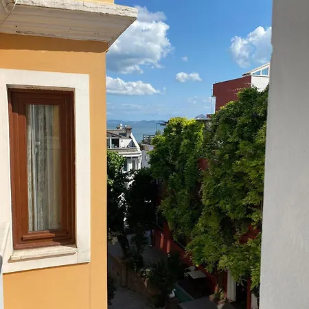 Sofia 3*