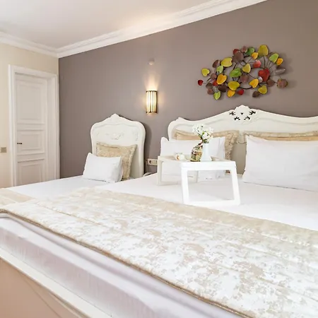 Hotel 1207 Special Class Sultanahmet 4*